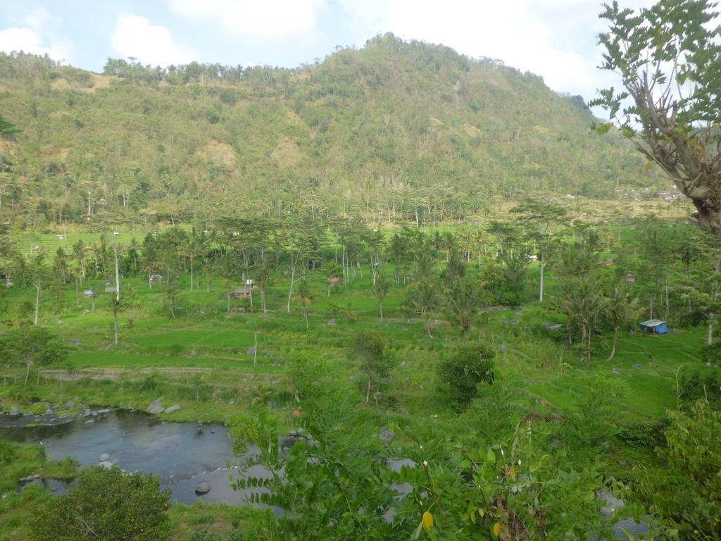 Villa Kropak Sidemen  Luaran gambar